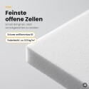 Basotect® Absorber 100x50 cm weiß, 2 cm, EcoBalanced B