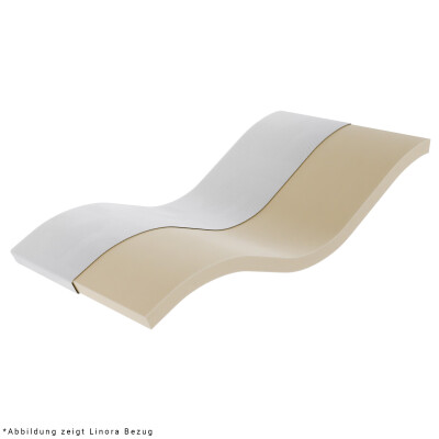 Wegerich Visco Topper 100x200 cm - 5 cm - H3 -...