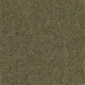 blassgrün 0043