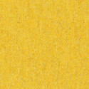signalgelb 0081