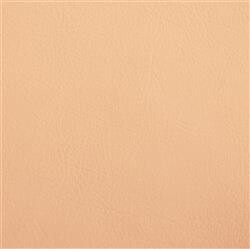 Kunstleder: sand