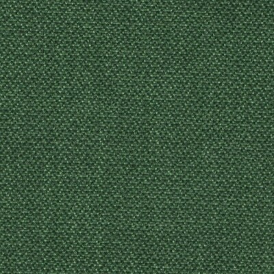 Venedig: racing green